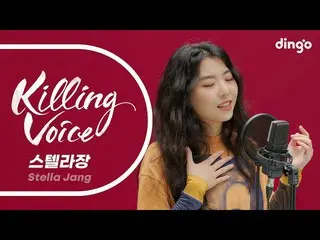 [Official din] Live the killing voice of  STELLAR_  (Stella Jang)! |Dingo Music 