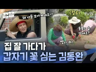 [Official tvn]  Vaccinate the puppy next door, eat a newcomer on the way home, a