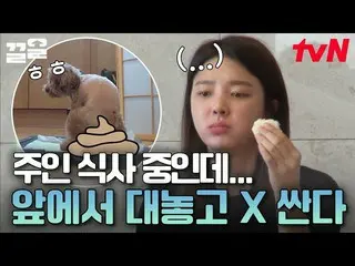 [Official tvn]   Pudding Ah.. Eating rice 💩 is a little embarrassing Um HyunKyu