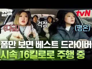 [Official tvn]   5 to 6 years after obtaining a license, 4 times actual driving 