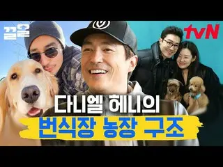 [Official tvn] Daniel H_  out of breeding dog farm structure! However, the harsh