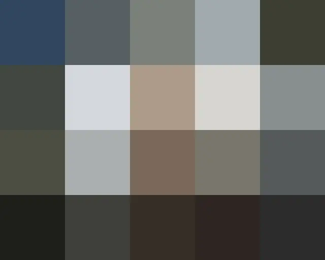 The release of the two some shot  of JENNIE(BLACKPINK) & Lily-Rose Depp became a