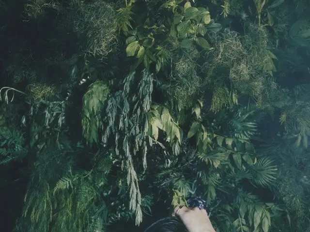 "EXO" released the teaser images of  SUHO, BAEK HYUN, CHEN, CHANYEOL for their a