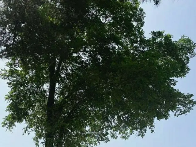 Actress Yoon Jin Seo reported her pregnancy. 6 years after the marriage. . .