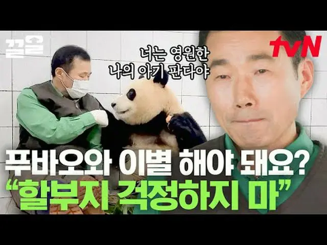 Stream on TV: #tvN #YukidsOnderBlock tvN Legend Variety Upgrade～Up↗↗ #Stream on 