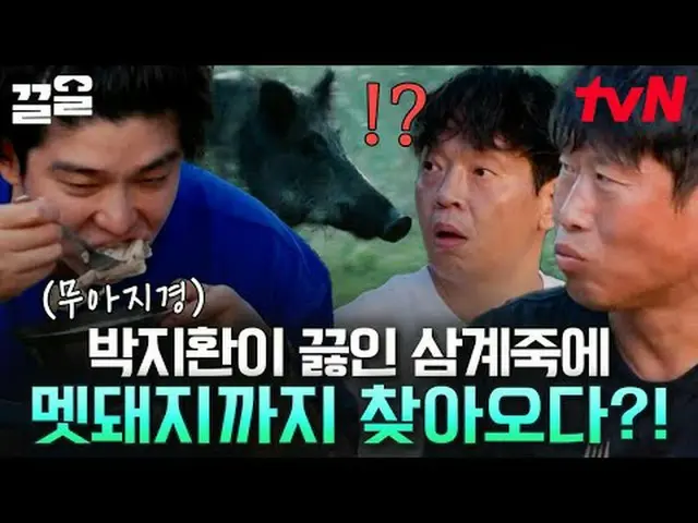 Stream on TV: #tvN #Outside the tent is Europe #Pulling tvN Legend Variety Upgra