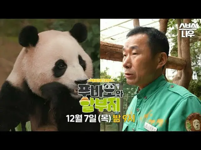 SBS “Fubao and Split” ☞[Thu] 9pm #Hubao and discount places #Hubao #Kangbao #Kan