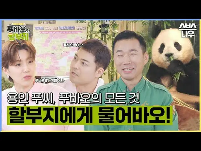 SBS “Fubao and Split” ☞[Thu] Broadcast at 9pm #Hubao and discount places #Hubao 