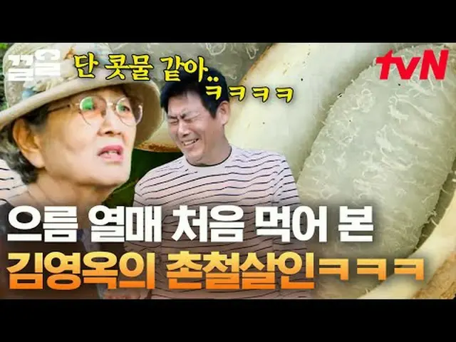 Stream on TV: #tvN #Wheel tvN Legend Variety Upgrade～Up↗↗ #Stream on TV.