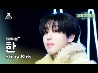 [ Gayo Daejejeon #Choi Ae-ji Cam ] Stray Kids_ _  HAN – TOPLINE (Feat.Tiger JK) 