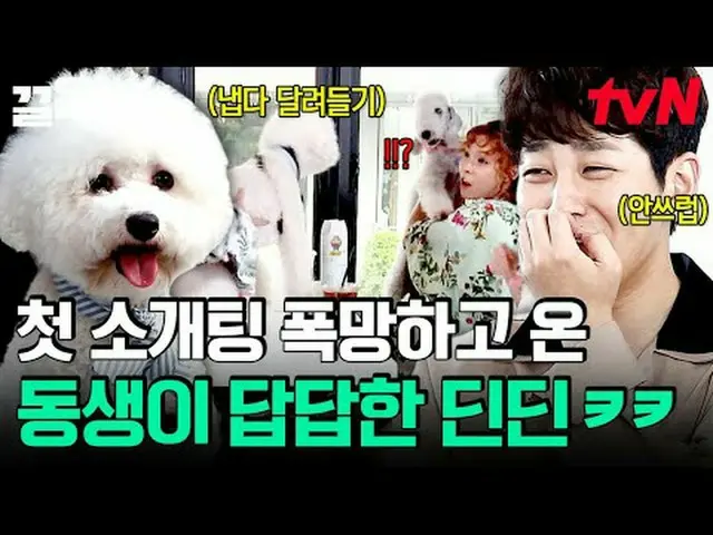 Stream on TV: #tvN #Dogs that need conversation # tvN Legend Variety Upgrade～Up↗