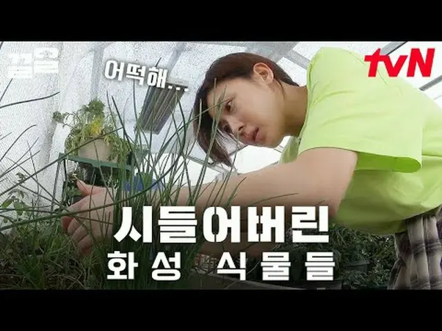 Stream on TV: #tvN #Galile tvN Legend Variety Upgrade～Up↗↗ #Stream on TV.