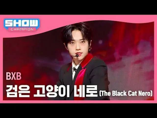 BXB - The Black Cat Nero #Show CHAMPion Pian #BXB #Black Cat Nero ★All about KPO