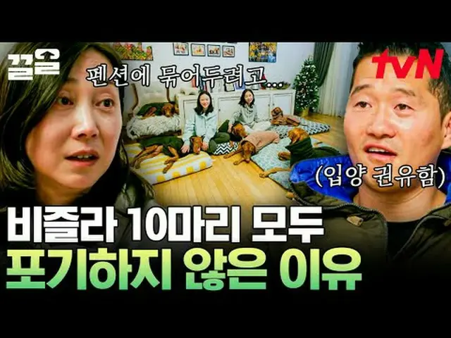 Stream on TV: #tvN #lonely trainer tvN Legend Variety Upgrade～Up↗↗ #Stream on TV