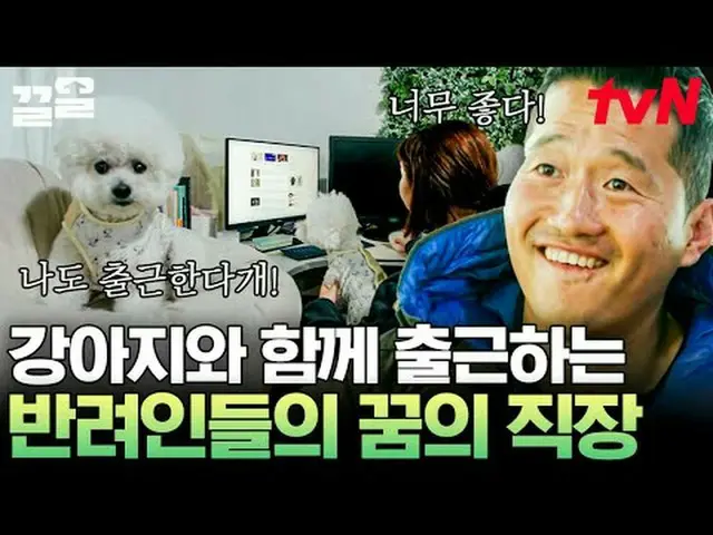 Stream on TV: #tvN #lonely trainer tvN Legend Variety Upgrade～Up↗↗ #Stream on TV