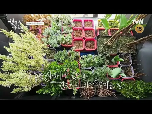 Stream on TV: The dream of disease-free longevity and eternal youth becomes a re