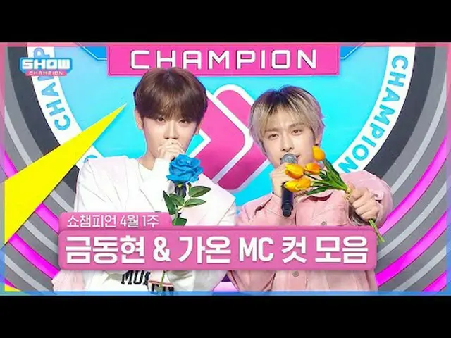 Please come and join us at Show Champion for cherry blossom viewing～🌸 April 1st