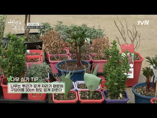 Stream on your TV: #WelcomeToBloc #LeeWonJong #HwangSeokJongWelcomeToBloc EP.11 