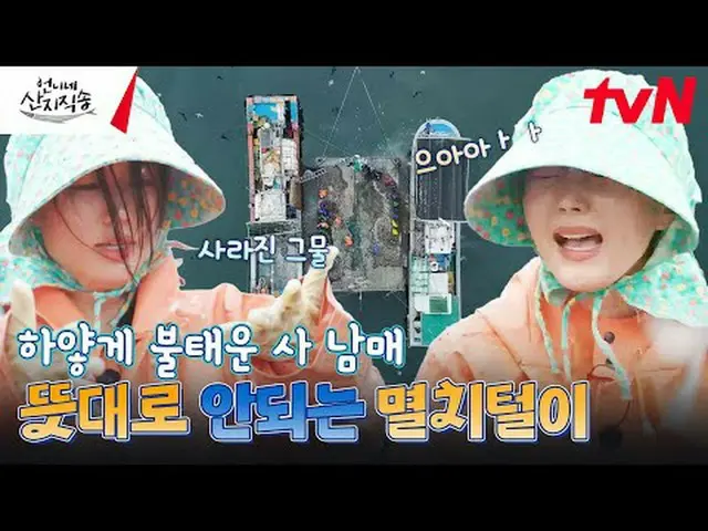 Stream on your TV: #SisterSanjiDirect #SanjiDirect #Yum Jung Ah_  #Park Joon Mye