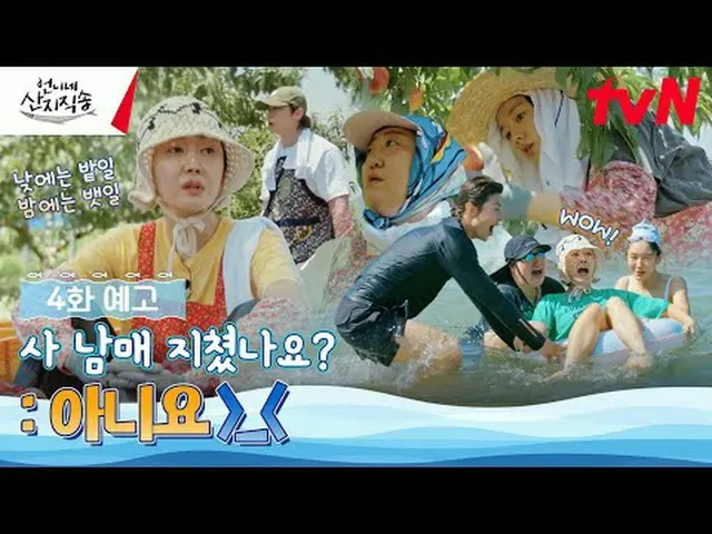 Stream on your TV: From the sea to the food {sent directly from the producers} ✔