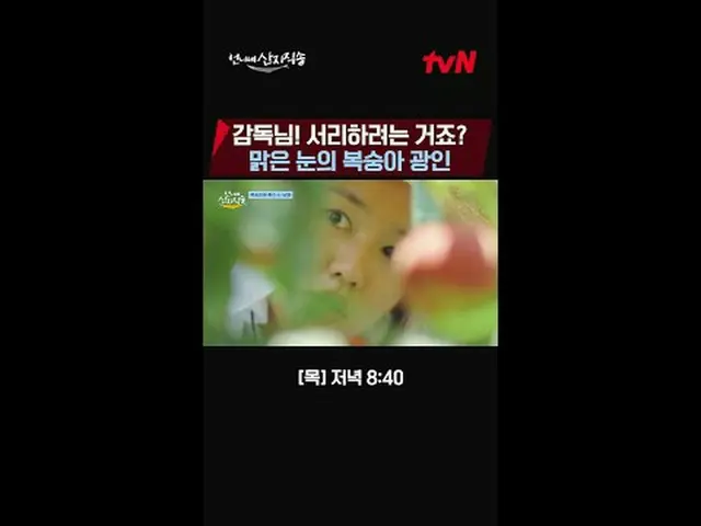 Stream on your TV: From the sea to the food {sent directly from the producers} ✔