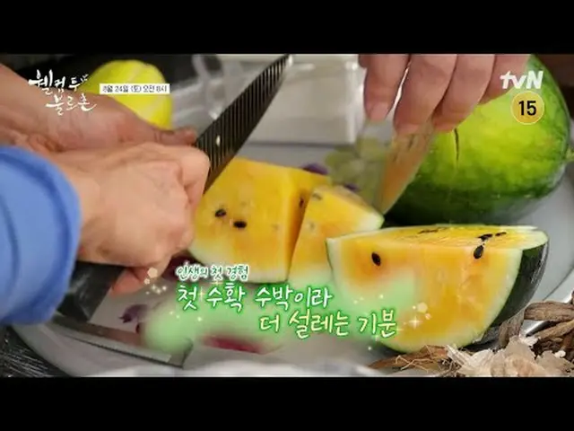 Stream on your TV: A place where dreams of longevity and eternal youth become re