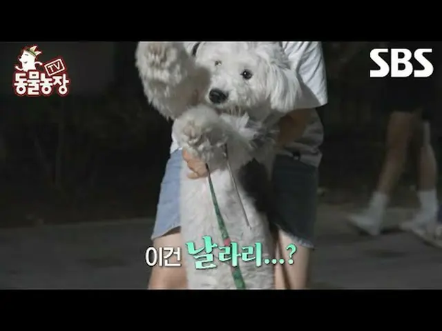 #Shin Dong-yup #Jeon SoNee (Jeon Sung-hee)_  #Tony Ahn (HOT)_  #JOY # #TV Animal