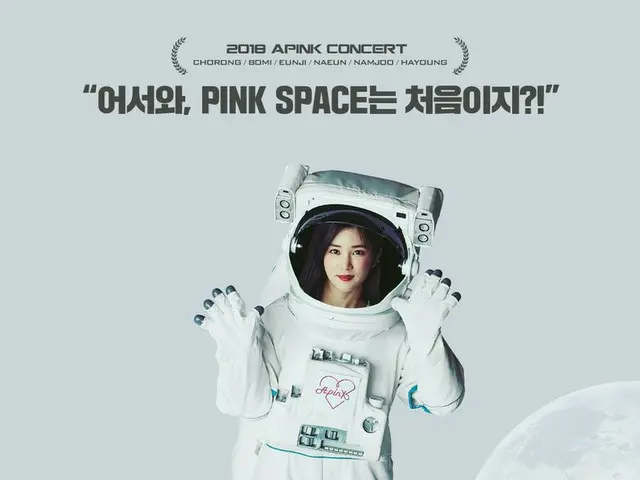 Apink, a personal poster is a topic.  ● 4th solo concert from 12th to 13th "PINK