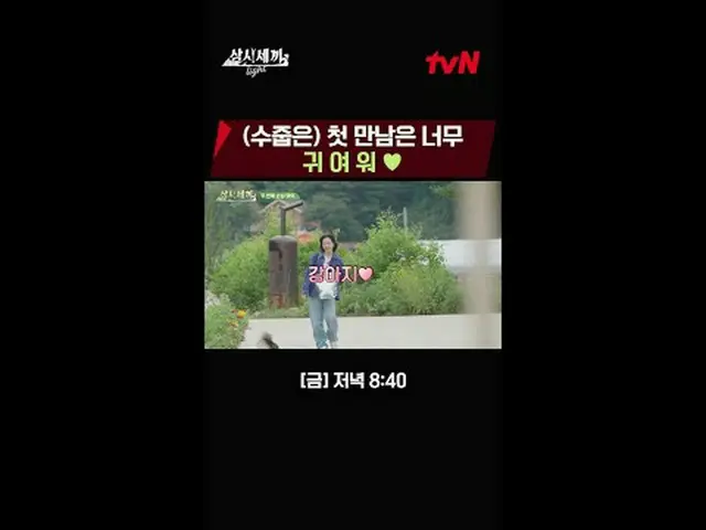 Streaming on Tiving: #Three Meals a Day Light #Cha Seung Won_  #Yoo HaeJin_  10 