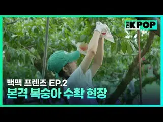 Korean girl group WJSN_ Backpack🎒 One Mego Travel Story in a Small City in Sout