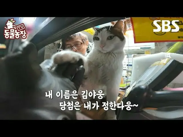 #Shin Dong-yup #Jeon SoNee (Jeon Sung-hee)_  #Tony Ahn (HOT)_  #JOY #TV Animal F