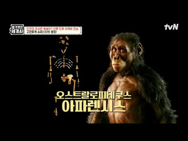 Stream on your TV: 185th | Apes are not the ancestors of humans! Misconceptions 