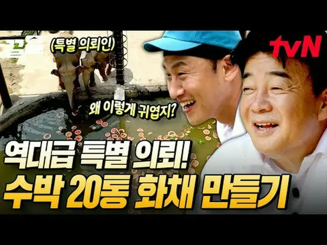 Stream on your TV: #tvN #Backpacker tvN Legend Variety Up ～ Up ↗↗ #StreamingOnTV
