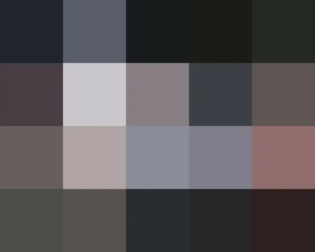 **Ups Instagram **Oops (guest member) Il Instagram.