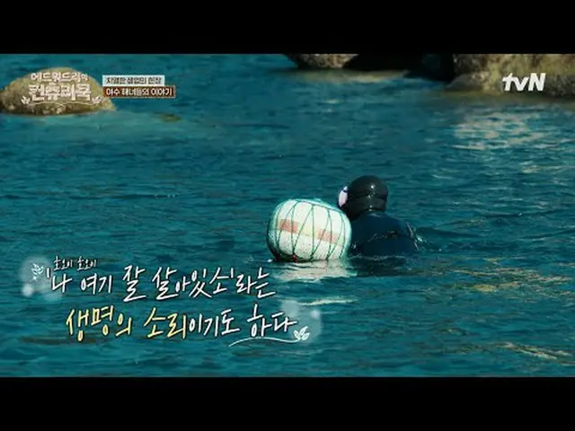 Stream on your TV: Chef Edward Lee discovers rural Korea to find the roots of hi