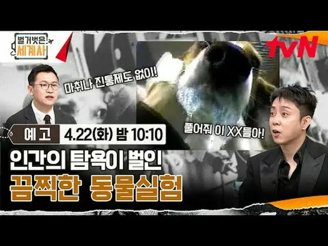 Stream on your TV: <Naked World History> [Tue] 10:10pm on tvN #Naked World Histo