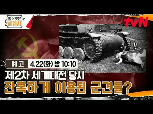 Stream on your TV: <Naked World History> [Tue] 10:10pm on tvN #Naked World Histo