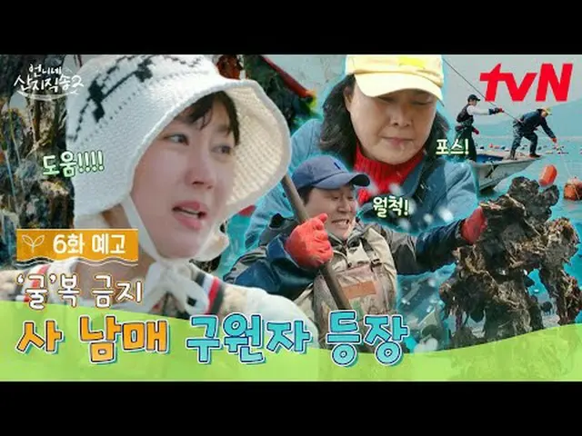 Stream on your TV: [Big Sister Direct from the Farm 2] ✔[Sun] 7:40pm tvN #tvN #B