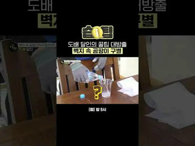 Painting expert releases honey chips to distinguish fungi in wallpaper #eczemati