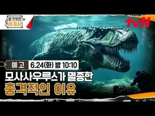 Stream on your TV:

 <Naked World History>
 [Tue] 10:10pm on tvN

 #Naked World 