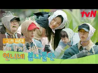 Stream on your TV:

 [Big Sister Direct from the Farm 2]
 ✔[Sun] 7:40pm tvN

 #t
