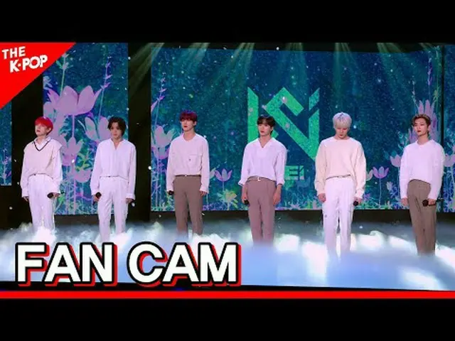 #WEi _ , Winter, Flowers #WEi _ _  #Winter_Flower Join the channel and enjoy the