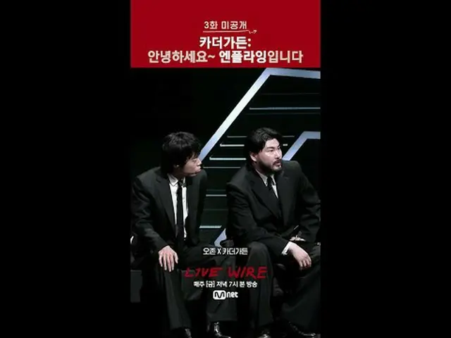 Live Stages of People Who Are Serious About Music and the Stories Behind the Mus