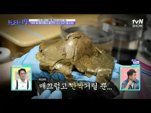 Stream on your TV: #Jun Hyun Moo_  #Oh Sang-jin #Han Seok-jun Free19 free19 EP.4