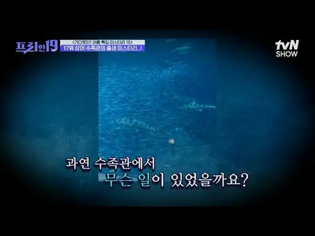 Stream on your TV: #Jun Hyun Moo_  #Oh Sang-jin #Han Seok-jun Free19 free19 EP.4