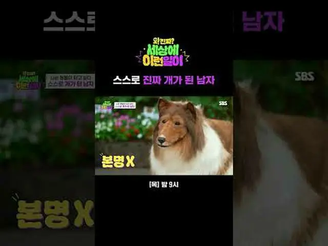 The man who turned himself into a real dog #Jun Hyun Moo_  #Baek Ji Yeong_  #Kim