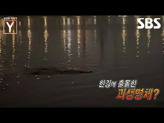 #Mysterious life form #Han River #Monster #SBSEducation #InterestingStoryY #YSto