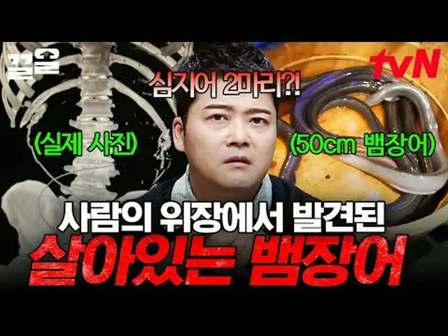 Stream on your TV: #tvN #FreeHand19 tvN Legend Variety Raises Up ～ Up ↗↗ Free19 