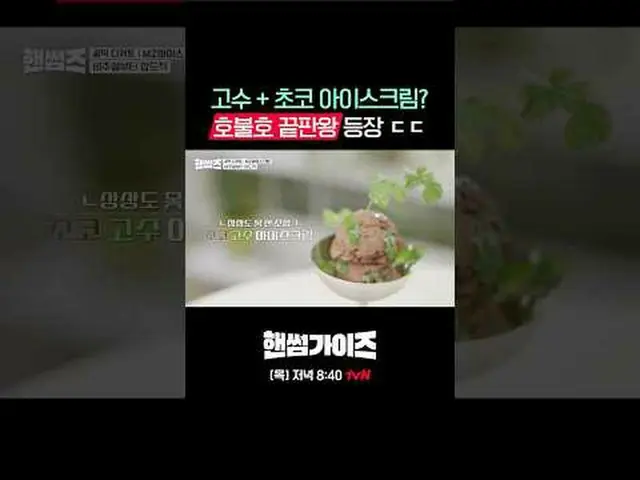 [Handsome Guide] ✔ [Thurs] 8:40 PM tvN #tvN #HandsomeGuide #HAN_ DSOMEGUYS #Cha 