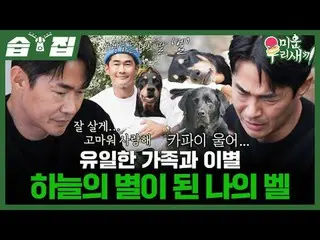 My bell became a star in the sky where I parted from my only family
 #Bae Jung N